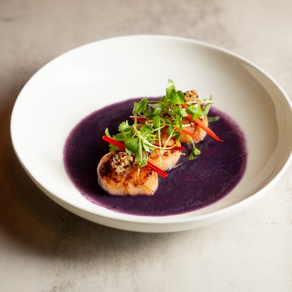 Seared scallops in a vibrant purple sauce, garnished with fresh herbs and red chili slices.